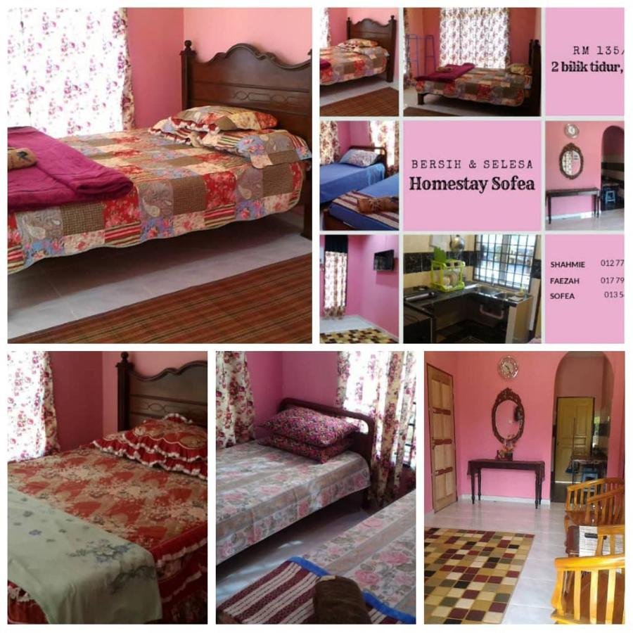 Sofea Homestay Batu Rakit ภายนอก รูปภาพ